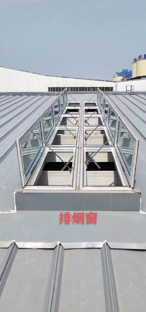 �����ş���